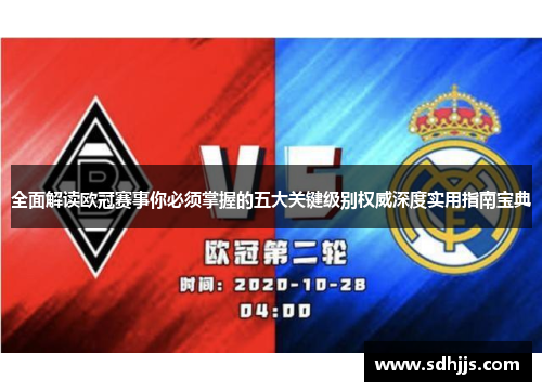 全面解读欧冠赛事你必须掌握的五大关键级别权威深度实用指南宝典