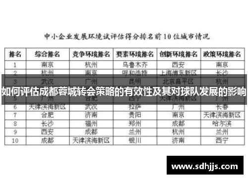 如何评估成都蓉城转会策略的有效性及其对球队发展的影响