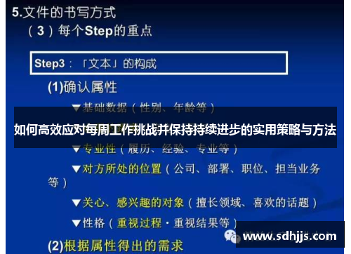 如何高效应对每周工作挑战并保持持续进步的实用策略与方法